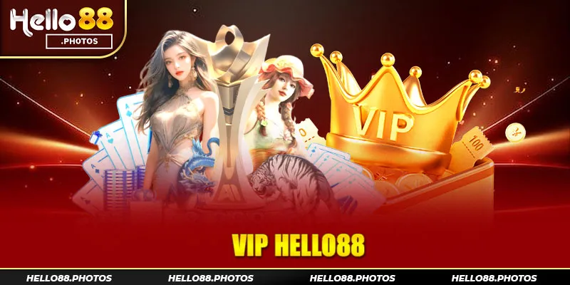 Quyền lợi đặc biệt dành cho hội viên VIP